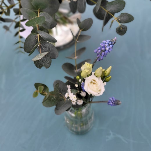 FLASKBLOMMA Cutie